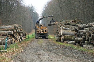 Лісівники Вінниччини збирають допомогу для військових та колег із прифронтових областей Лісівники Вінниччини збирають допомогу для військових та колег із прифронтових областей