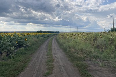 золочів золочів