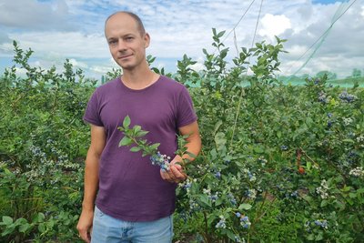 Дві тисячі кущів лохини вдома: родина фермера з Житомирщини на 50 сотках вирощує лохину різних сортів Дві тисячі кущів лохини вдома: родина фермера з Житомирщини на 50 сотках вирощує лохину різних сортів