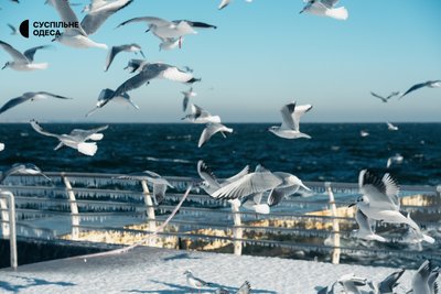 Одеса сонячна та засніжена: який вигляд має місто після негоди. Фоторепортаж Одеса сонячна та засніжена: який вигляд має місто після негоди. Фоторепортаж