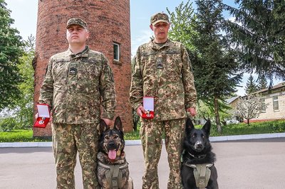 Службові собаки бійців "Червоної Калини" отримали медалі Службові собаки бійців "Червоної Калини" отримали медалі