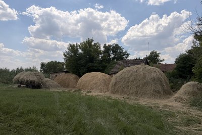 Щоденники забутих сіл: хутір Богданівський Щоденники забутих сіл: хутір Богданівський