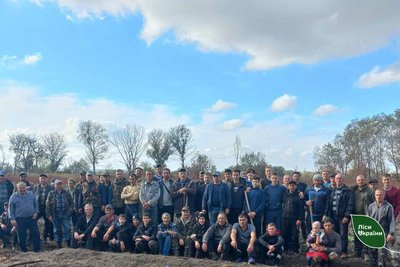 На Одещині висадили три гектари лісу