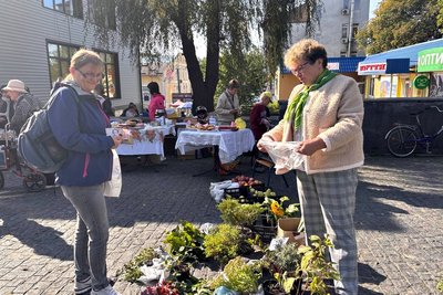У Малині на Житомирщині провели благодійний ярмарок «Квіти для лицарів» У Малині на Житомирщині провели благодійний ярмарок «Квіти для лицарів»