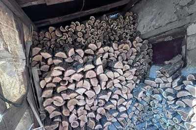 Двох жителів Миколаївщини підозрюють у незаконній вирубці дерев. В одного з них також знайшли наркотики Двох жителів Миколаївщини підозрюють у незаконній вирубці дерев. В одного з них також знайшли наркотики