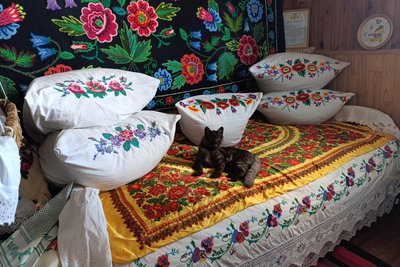 Місце, де оживає історія: "Будинок рибалки" серед річки на Житомирщині Місце, де оживає історія: "Будинок рибалки" серед річки на Житомирщині