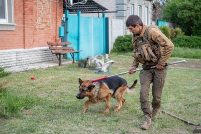 Евакуація пса з Вовчанська Евакуація пса з Вовчанська