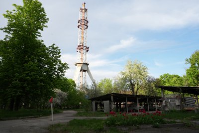 телевежа