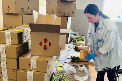 Маргарита Чепелюк фасує спаржу для відправки клієнтам Маргарита Чепелюк фасує спаржу для відправки клієнтам