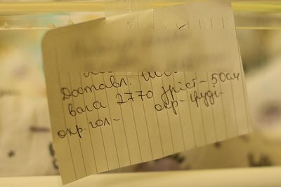 Пів року триває пошук матері, яка лишила немовля у сміттєвому баці у Миколаєві Пів року триває пошук матері, яка лишила немовля у сміттєвому баці у Миколаєві