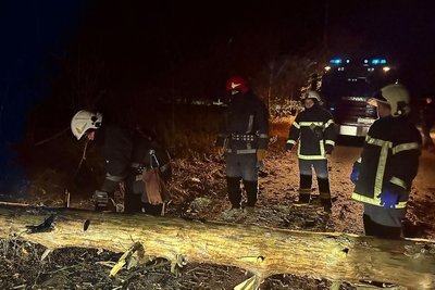 У Харкові внаслідок негоди впало 101 дерево та 94 гілки У Харкові внаслідок негоди впало 101 дерево та 94 гілки
