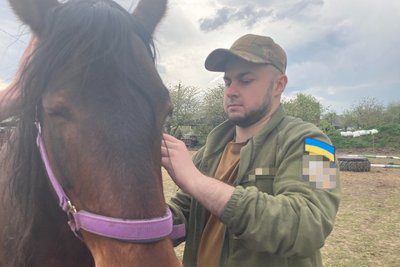 Спілкування, яке дозволяє розслабитися: на конюшні під Харковом проводять реабілітацію для бійців
