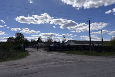 Загибель корів: на держпідприємстві "Рихальське" у Житомирській області проводили слідчі дії Загибель корів: на держпідприємстві "Рихальське" у Житомирській області проводили слідчі дії