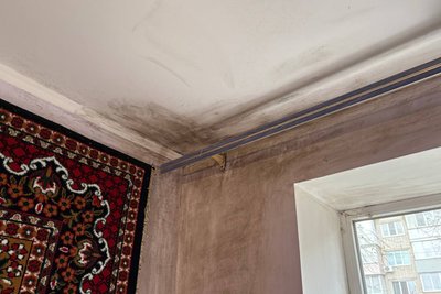 Цвіль на стінах та мокра підлога у квартирі житомирянки: чия відповідальність Цвіль на стінах та мокра підлога у квартирі житомирянки: чия відповідальність