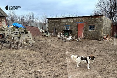 Собака та гуси у сільському дворі, Предтечине, Донецька область Собака та гуси у сільському дворі, Предтечине, Донецька область