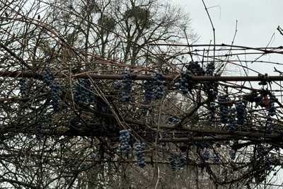 "Світла й газу не було, пили дощову воду": як змінилися долі переселенців після переїзду "Світла й газу не було, пили дощову воду": як змінилися долі переселенців після переїзду