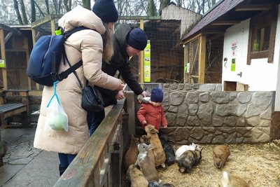 Можна приносити харчі і взяти опікунство: вінницький зоодворик розпочав акцію "Тваринкам на підтримку" Можна приносити харчі і взяти опікунство: вінницький зоодворик розпочав акцію "Тваринкам на підтримку"