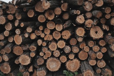 Запаси дров на Харківщині Запаси дров на Харківщині