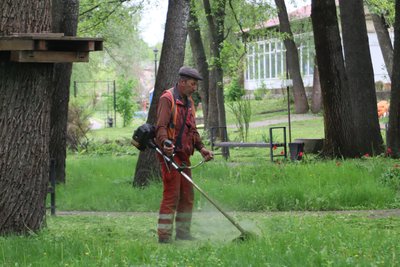 Бореліоз, енцефаліт та інші інфекції: як вберегтися від укусів кліщів людям та тваринам Бореліоз, енцефаліт та інші інфекції: як вберегтися від укусів кліщів людям та тваринам