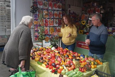 виставка помідорів, тернопільський ринок, помідори виставка помідорів, тернопільський ринок, помідори