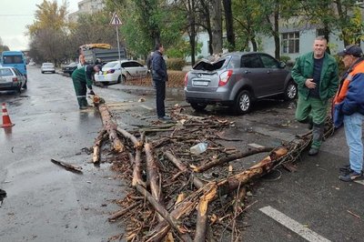 Повалені дерева в Одесі