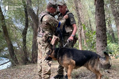 "Собака відчуває твій настрій": як вівчарка Мітчел затримує порушників на Одещині