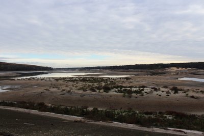 Оскільське водосховище після підриву дамби навесні оміліло Оскільське водосховище після підриву дамби навесні оміліло