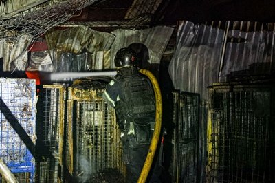 Рятувальник на місці влучання російського "Шахеда" у складські приміщення "Укрпошти", Харків, 8 червня 2026 року Рятувальник на місці влучання російського "Шахеда" у складські приміщення "Укрпошти", Харків, 8 червня 2026 року
