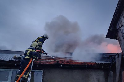 На Закарпатті сталася пожежа у пекарні: вогонь гасили понад 60 рятувальників На Закарпатті сталася пожежа у пекарні: вогонь гасили понад 60 рятувальників