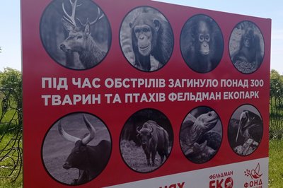 Як стежитимуть за безпекою у "Долині альпак" у Харківському екопарку Як стежитимуть за безпекою у "Долині альпак" у Харківському екопарку