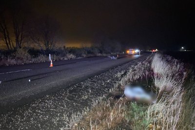 На Харківщині 50-річний велосипедист загинув в ДТП: що відомо На Харківщині 50-річний велосипедист загинув в ДТП: що відомо