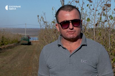 фундуки фундуки