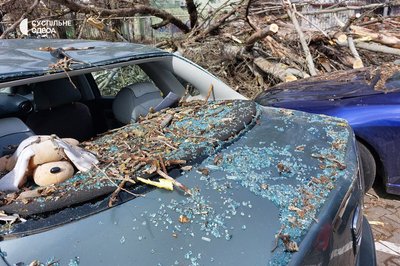 В Одесі дерево впало на жінку В Одесі дерево впало на жінку