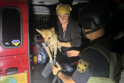 Жінка втекла з-під обстрілів прифронтового села на Харківщині разом з трьома собаками Жінка втекла з-під обстрілів прифронтового села на Харківщині разом з трьома собаками
