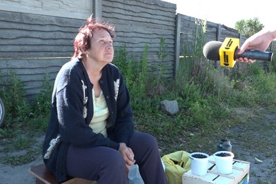 Збір та продаж чорниць у Житомирській області: скільки коштує ягода і чи багато є цьогоріч Збір та продаж чорниць у Житомирській області: скільки коштує ягода і чи багато є цьогоріч
