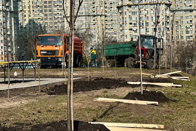 У Києві почали озеленювати парки і сквери: чому віддають перевагу У Києві почали озеленювати парки і сквери: чому віддають перевагу