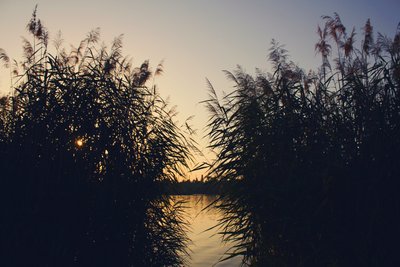 Івана Хрестителя чи Івана Купала — на Житомирщині розповіли, що відомо про ці 2 свята та чому їх відзначають в один день Івана Хрестителя чи Івана Купала — на Житомирщині розповіли, що відомо про ці 2 свята та чому їх відзначають в один день
