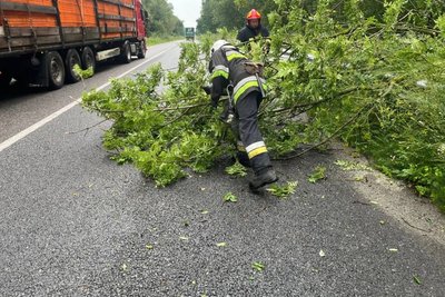 Негода у Житомирській області: рятувальники ліквідовують наслідки