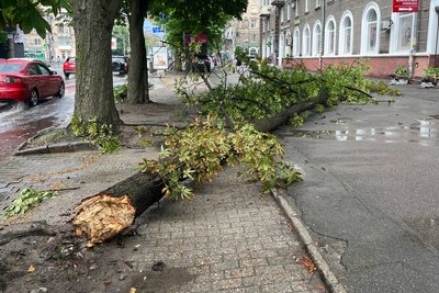 Дерева впали на будівлю та дорогу. У Дніпрі долають наслідки негоди Дерева впали на будівлю та дорогу. У Дніпрі долають наслідки негоди