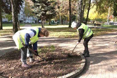 У Житомирі почали готувати міські клумби до зими: що змінюють у квітниках У Житомирі почали готувати міські клумби до зими: що змінюють у квітниках
