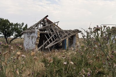 Щоденники забутих сіл: Степова Долина Щоденники забутих сіл: Степова Долина