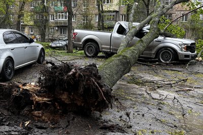 Щонайменше 30 дерев впали у Харкові через негоду 26 квітня: фото наслідків Щонайменше 30 дерев впали у Харкові через негоду 26 квітня: фото наслідків