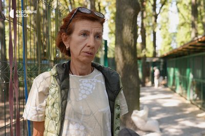 Як доглядають в Одесі врятованих після підриву Каховської ГЕС собак Як доглядають в Одесі врятованих після підриву Каховської ГЕС собак