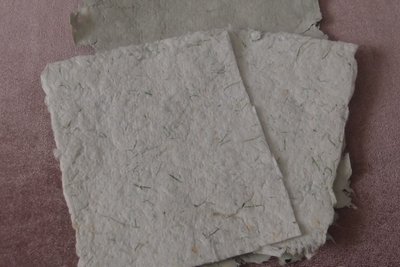 Промисловість на Житомирщині: як осока з Полісся стала сировиною для малинського паперу Промисловість на Житомирщині: як осока з Полісся стала сировиною для малинського паперу