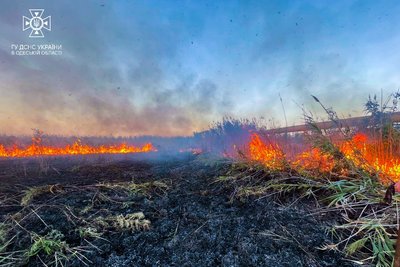 В Одесі згоріло 1000 м² очерету