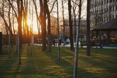 Люди гуляють по саду Шевченка у Харкові Люди гуляють по саду Шевченка у Харкові