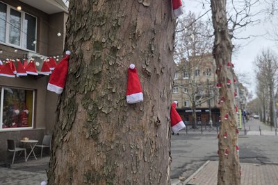 Як у Миколаєві готуються до новорічних свят та чи встановлять ялинку Як у Миколаєві готуються до новорічних свят та чи встановлять ялинку