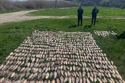 Збитки понад 1,2 млн грн: на Дністровському лимані викрили незаконний вилов риби Збитки понад 1,2 млн грн: на Дністровському лимані викрили незаконний вилов риби