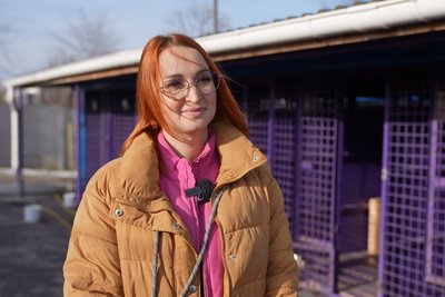 Загроза сказу у Миколаєві: як у місті протидіють поширенню хвороби Загроза сказу у Миколаєві: як у місті протидіють поширенню хвороби