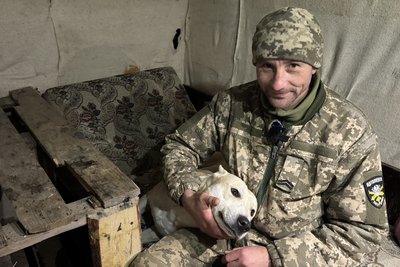 Від цуценяти до бойового пса: чотирилапий Локі несе варту та чекає господаря з бойових виїздів Від цуценяти до бойового пса: чотирилапий Локі несе варту та чекає господаря з бойових виїздів